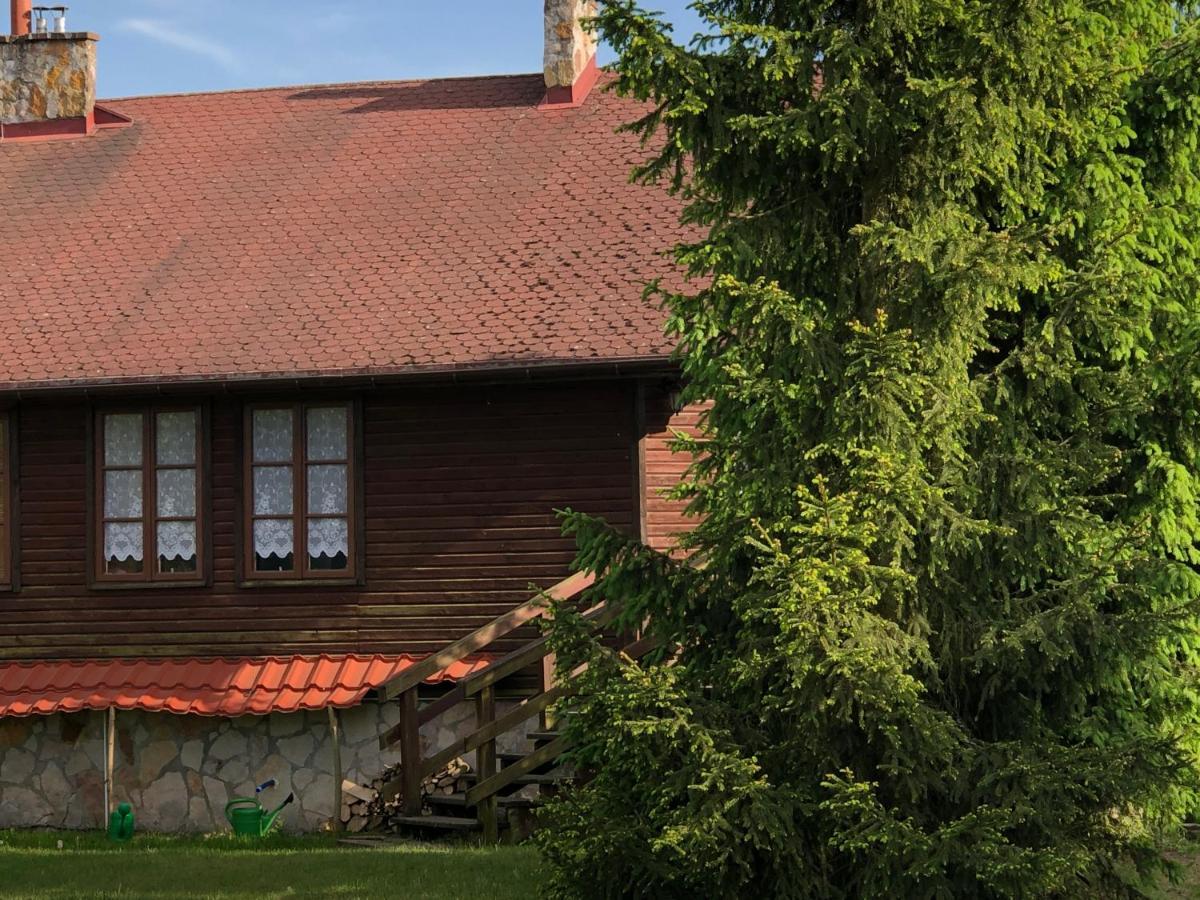 Domki Carmen Wierzchownia Esterno foto